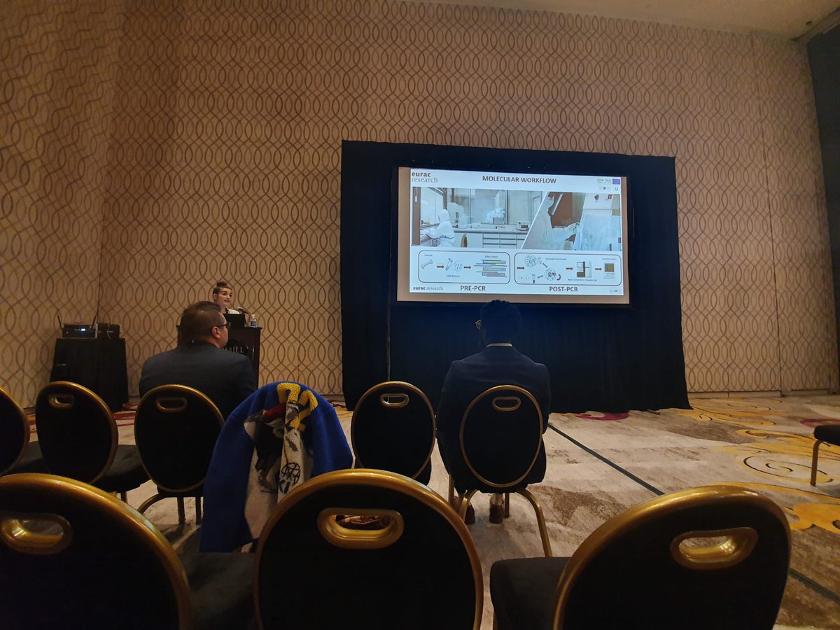 Mummy Studies - Eurac Research tweet media