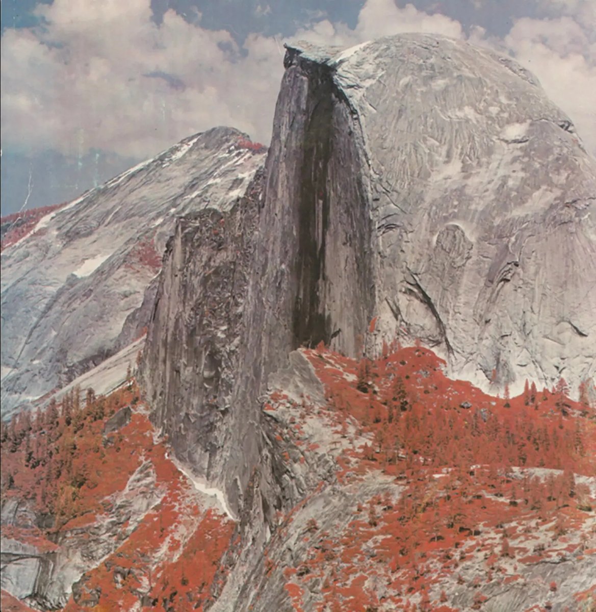 Marco Ferrari tweet media