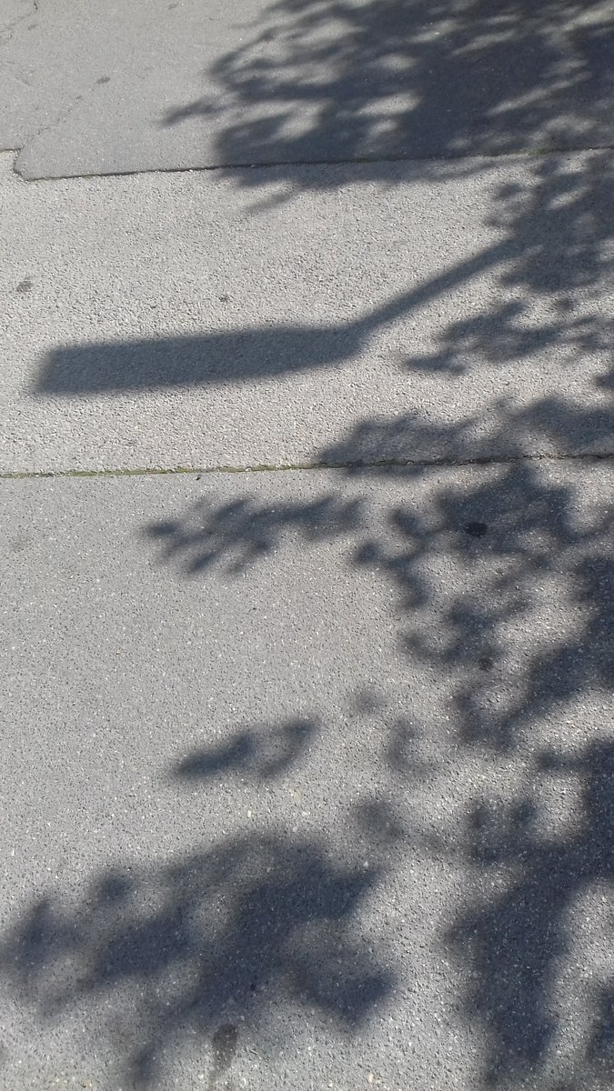 VVB_LJ's tweet photo. 30. IV. 2023, 16:04:36
#PavementPoetry
#ShadowPoems https://t.co/IKjJVeus9r