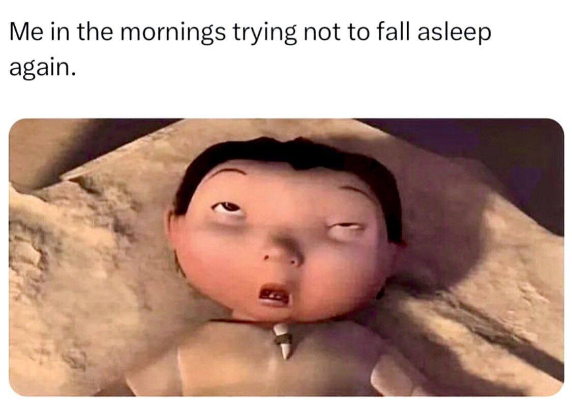 introvertsmemes's tweet photo. That morning battle 😵‍💫 https://t.co/po0ut2W9Tc