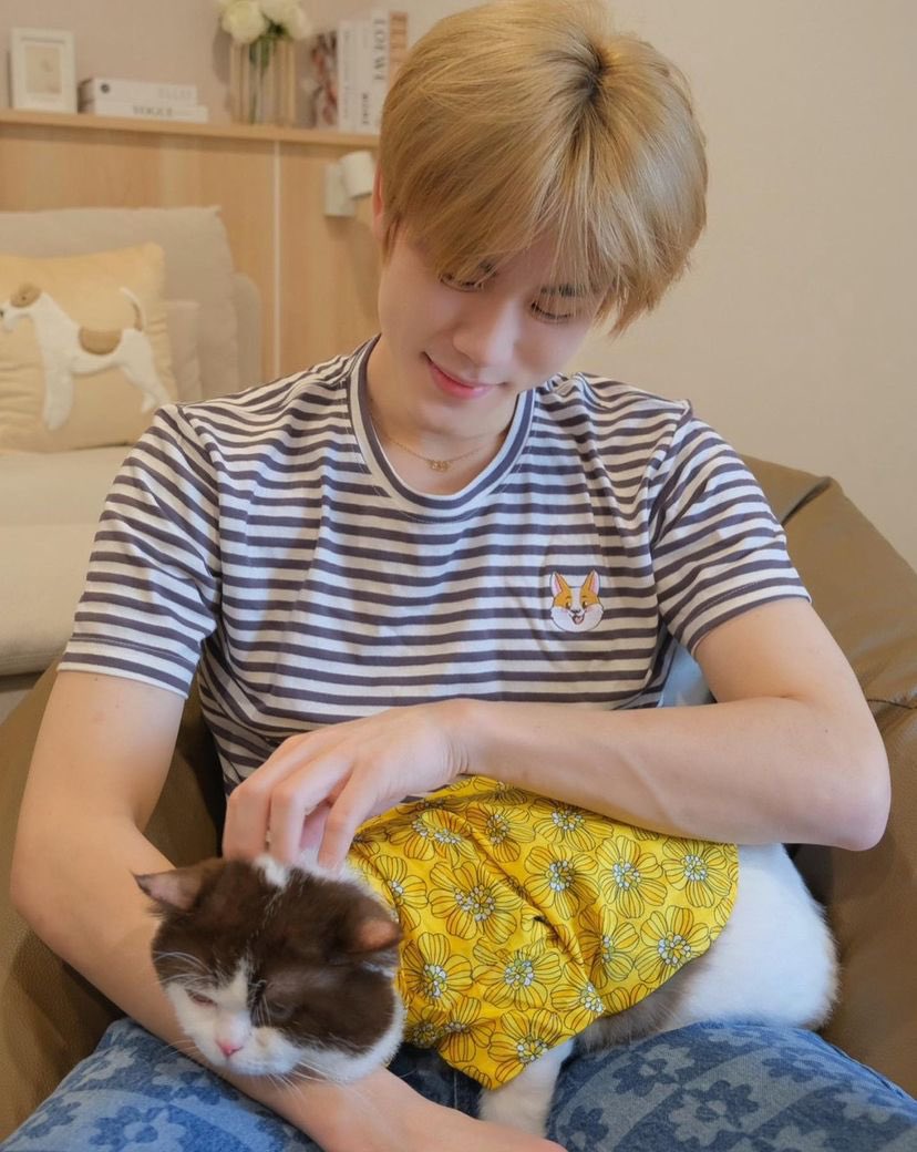 piccologiant052's tweet photo. 妈妈和猫猫都好温柔,好想rua @bb0un @Prem_space @thisisapiccolo #prem__space #BounPrem https://t.co/VnKouZFJra