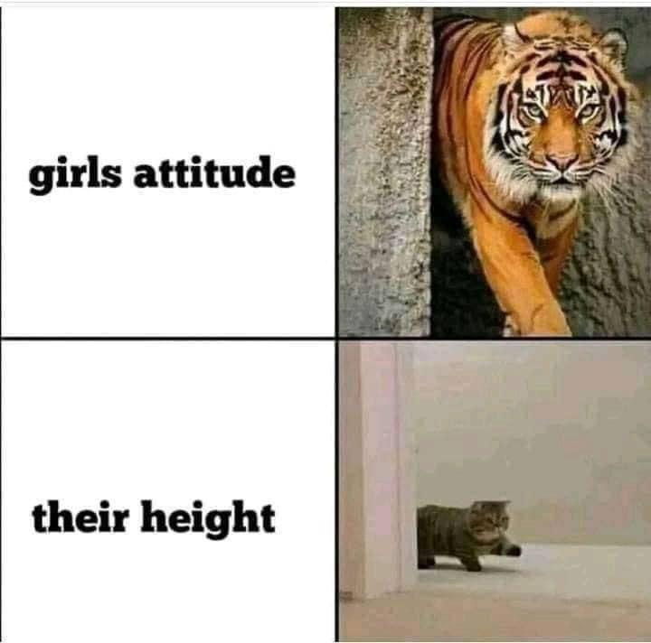 WholesomeMeme's tweet photo. https://t.co/b8f2NwelTi