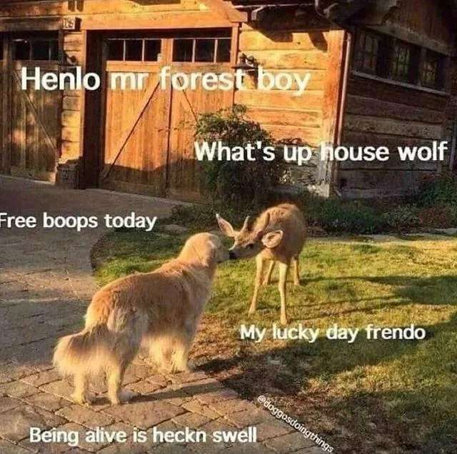 WholesomeMeme's tweet photo. https://t.co/E3stBm177J