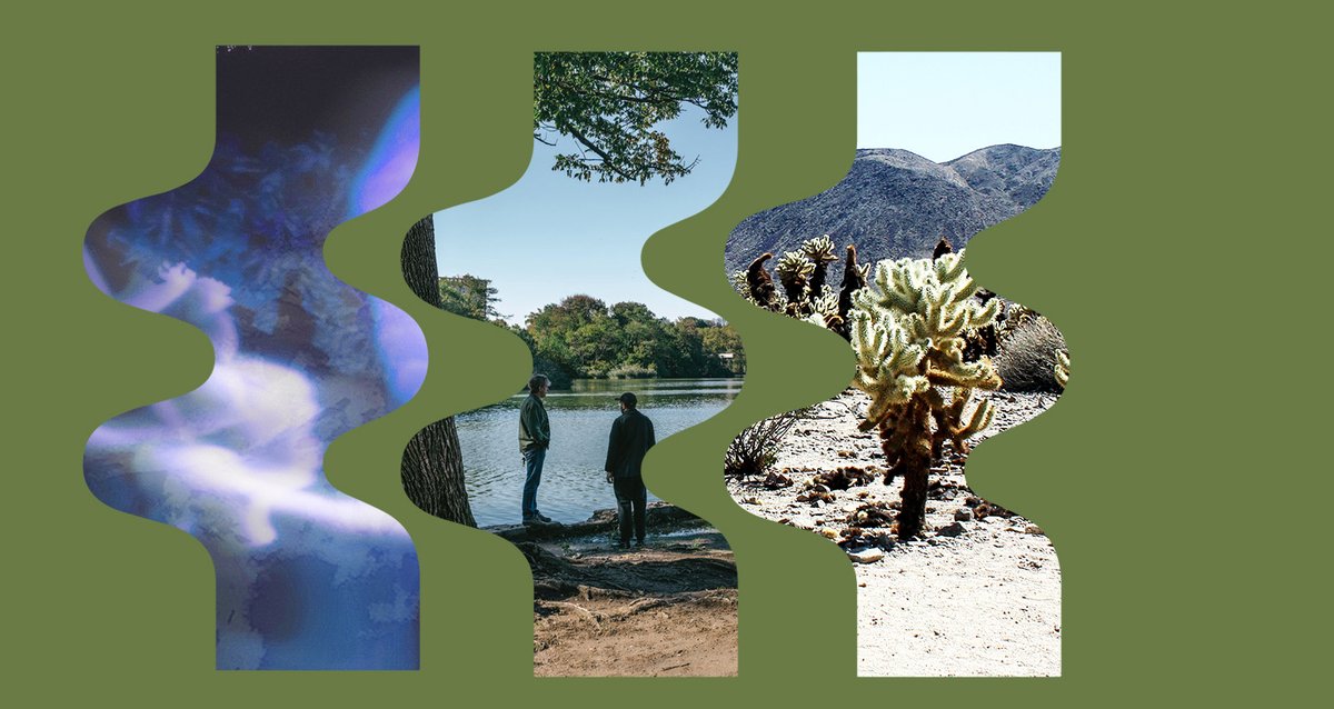 RVNG Intl. tweet media