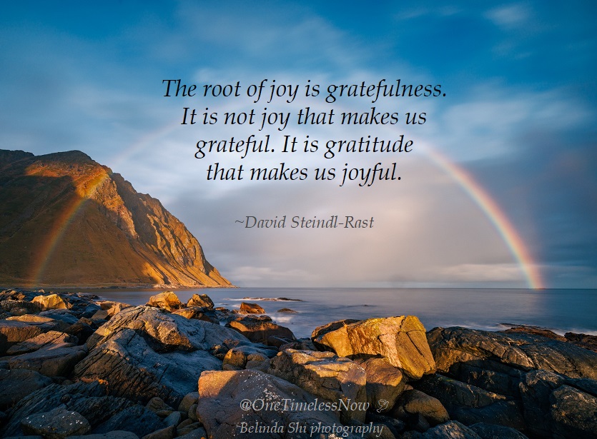PresenceTrades's tweet photo. Unconditional gratitude is a transformative power for your body, mind and soul. It serves as a magnet for all abundance and peace. https://t.co/xzB4ah2ckp