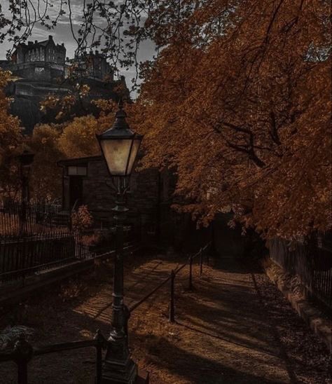 haze ⚡ tweet media