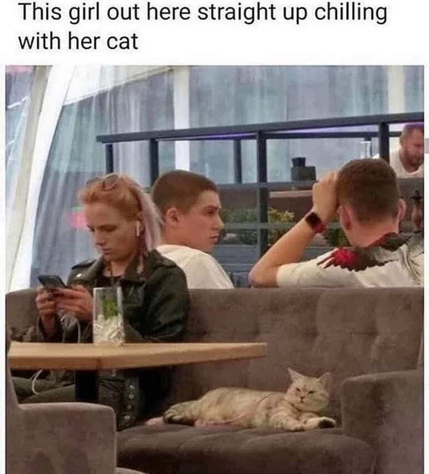 WholesomeMeme's tweet photo. https://t.co/qHbue5QD9J