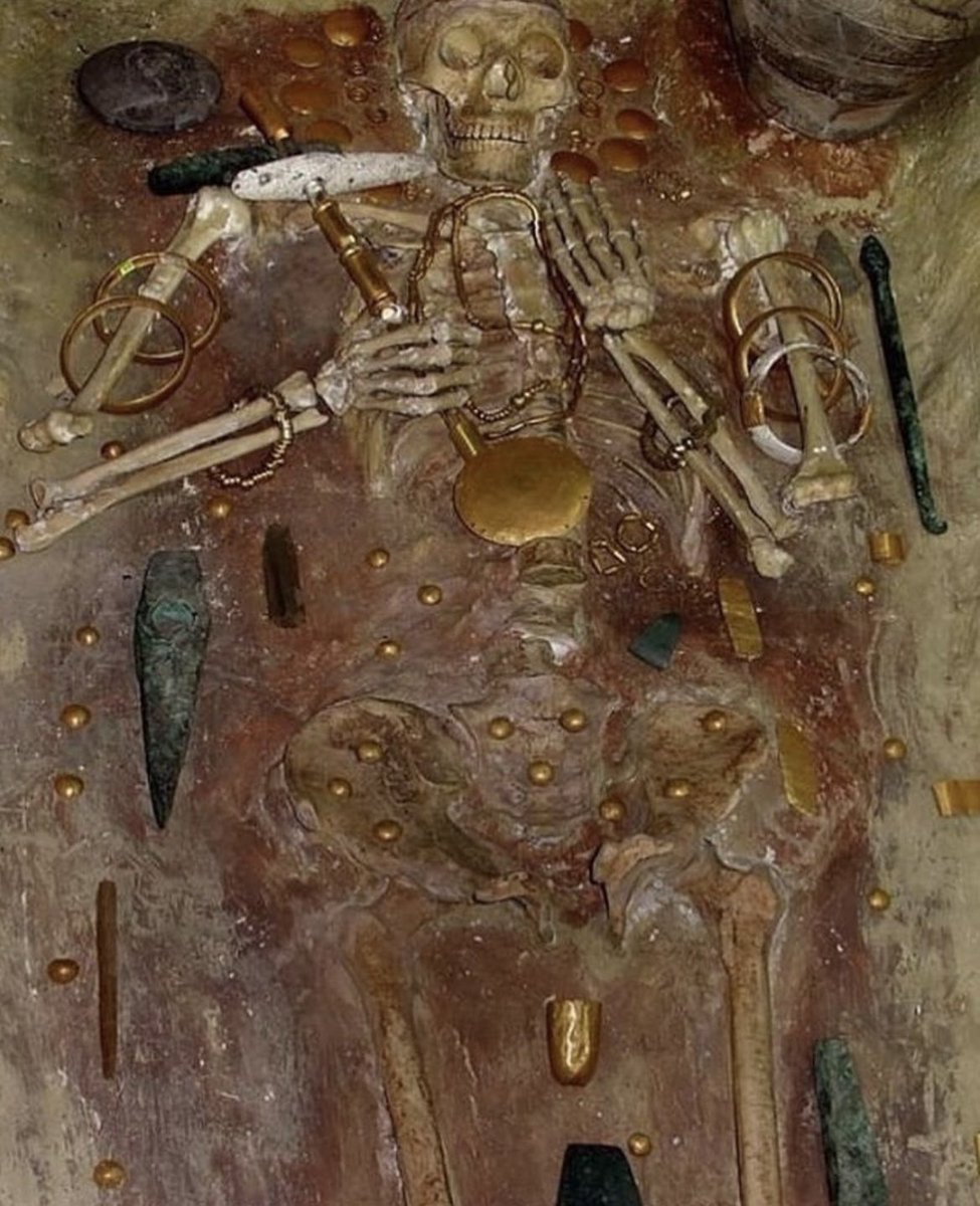 factss_here's tweet photo. Ancient skeleton &amp; the world's oldest Gold found near the #BlackSea

#AzerbaijanGP #NepoDing https://t.co/8HFFPVqetD