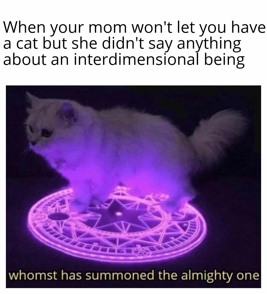 WholesomeMeme's tweet photo. https://t.co/WGdz8hRDde