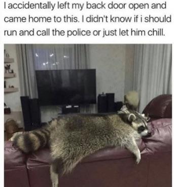 WholesomeMeme's tweet photo. https://t.co/S88lXz131L
