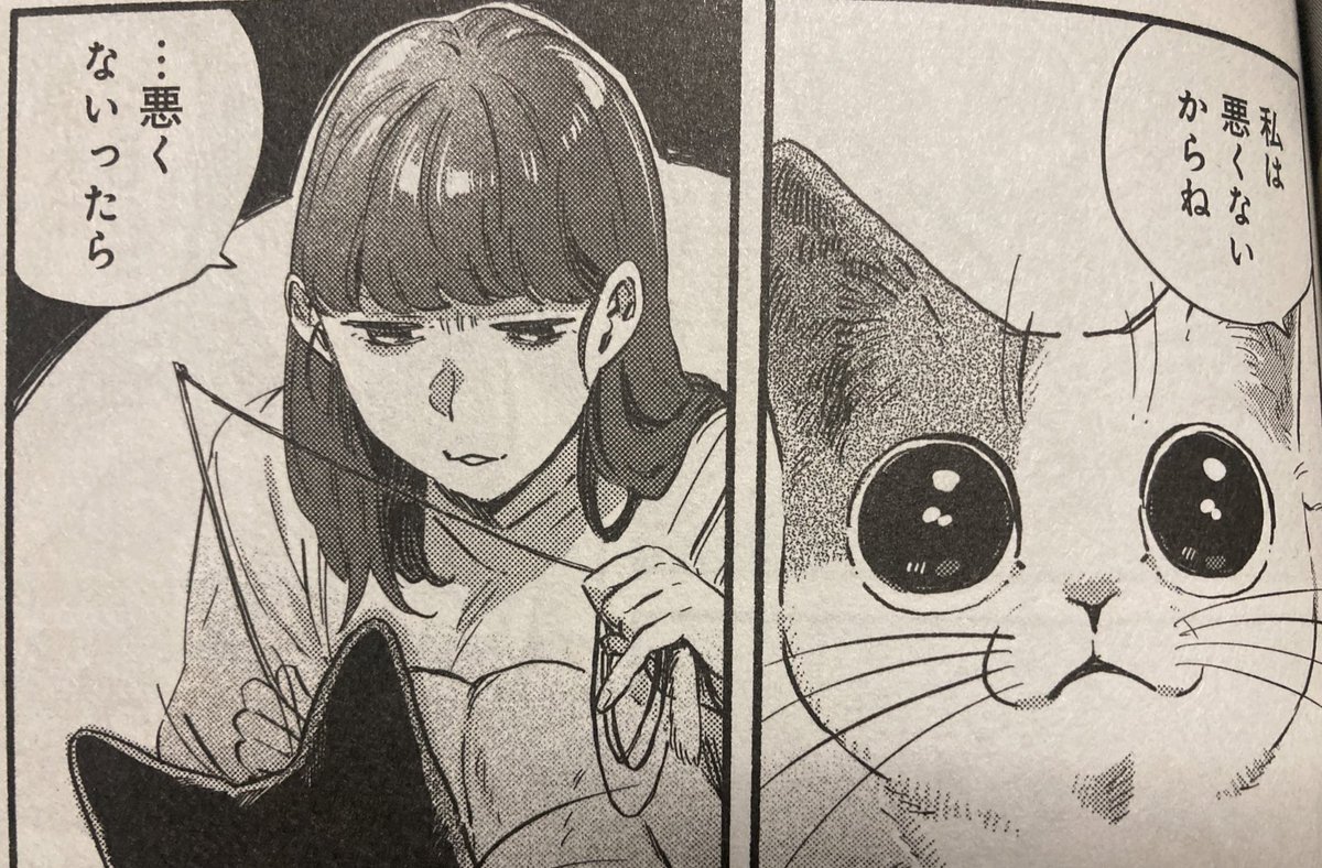 ねこあるある