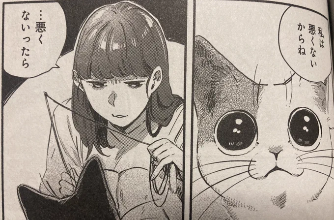ねこあるある
