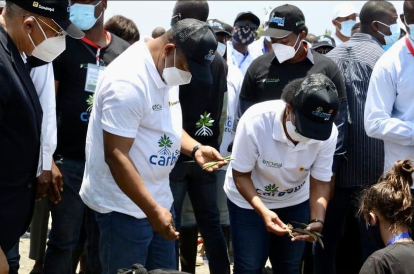 Bom domingo para todos, ao lado da família ou dos amigos! Dê vida à vida, plantando, cuidando dos animais e solidarizando-se com quem precise!