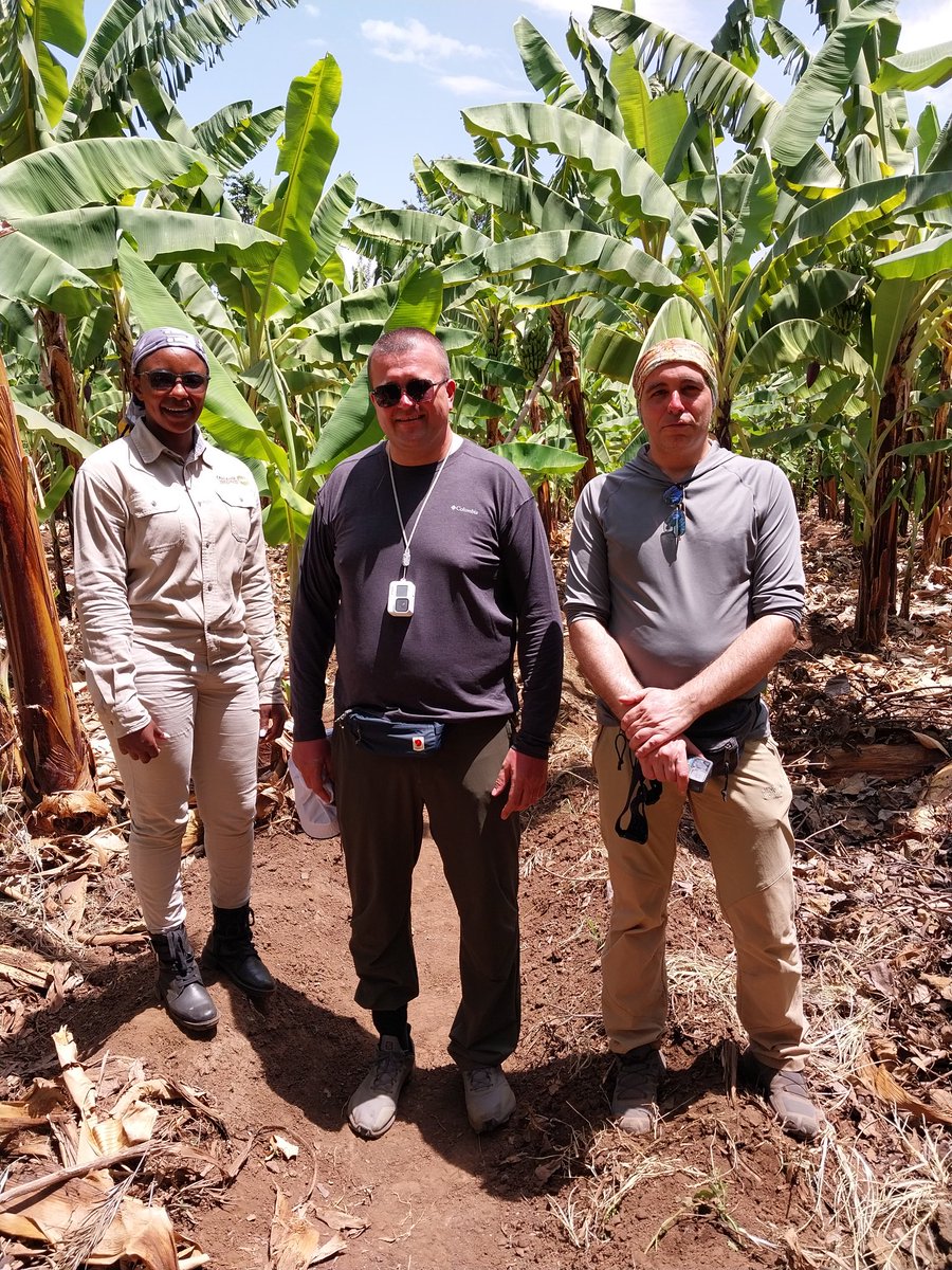 EsterJulius9's tweet photo. in our safari pack was for seven days today is the second day after leaving tarangire national park we are in the small town of mtowambu on the banana plantation tour in tanzania 🇹🇿. https://t.co/dZSknzPiXN