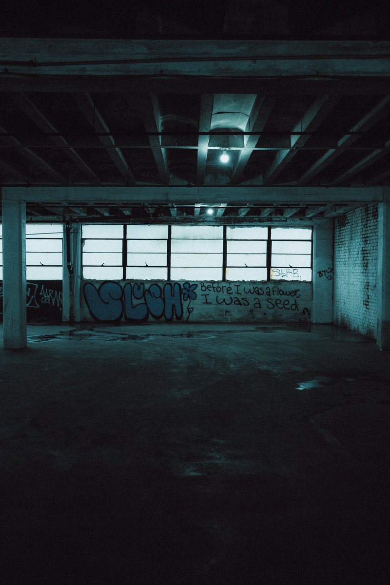 “Before I was a flower, I was a seed” 🌱 #x100v