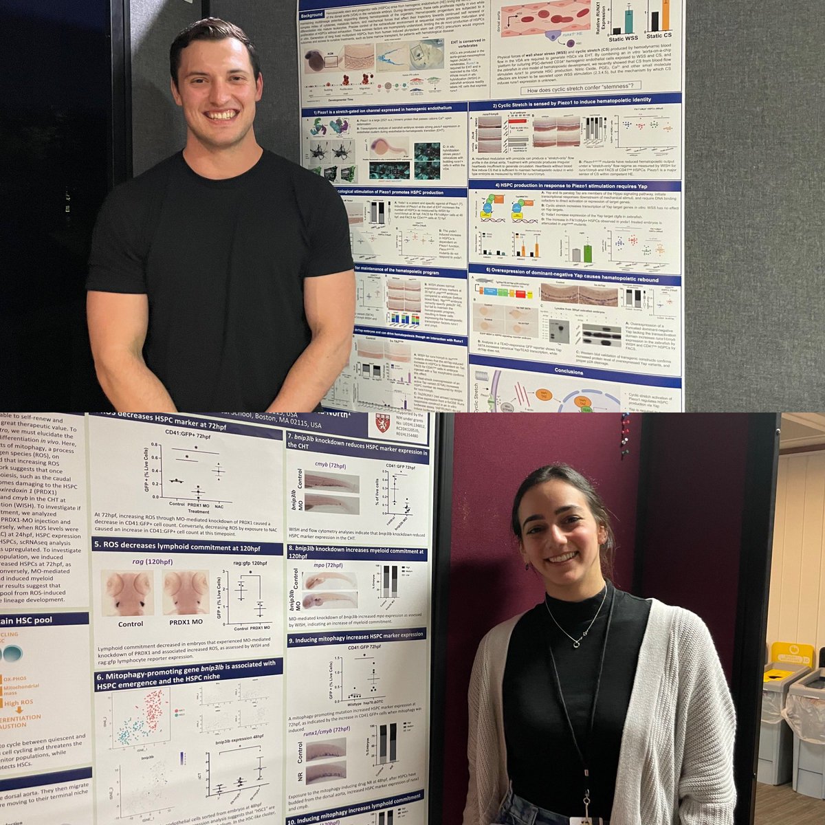 Congrats to Zach and Mindy on fabulous poster presentations <a href="/NESDBMeeting/">NESDB2023</a> !! 🤩🎊🎏 #zebrafish #nesdb2023 <a href="/drb_hms/">HMS DRB Program</a>