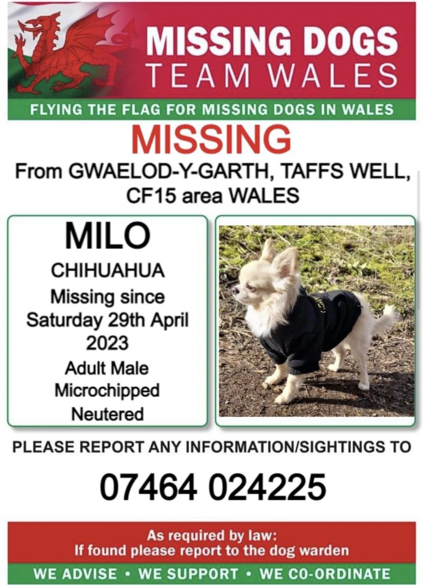 missingdogwales's tweet photo. ‼️MILO IS MISSING FROM #GWAELODYGARTH AREA #TAFFSWELL #CF15 #WALES
Since Saturday 29th April
‼️Milo is a young male adult #Chihuahua and MICROCHIPPED so please if anyone has any information on his whereabouts then please contact the owner ASAP .number on this poster 💥 https://t.co/KKJZNJZMmL