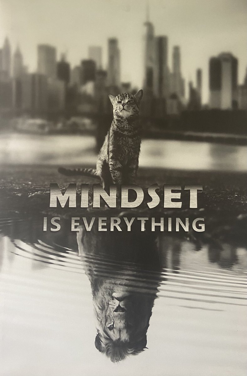 IGotAssets's tweet photo. A POSTIVE MINDSET is KEY 🔑 This is how we see ourself at @BossCatRC With UNITY Comes More POWER & RESPECT🦾 Be Live Be Present and receive these BLESSINGS, Happy Sunday Funday Legends 🐈⬛💎#PowerToThePeople #commUNITY #YearOfTheCat #BCRCarmy https://t.co/m9WerxCAPi
