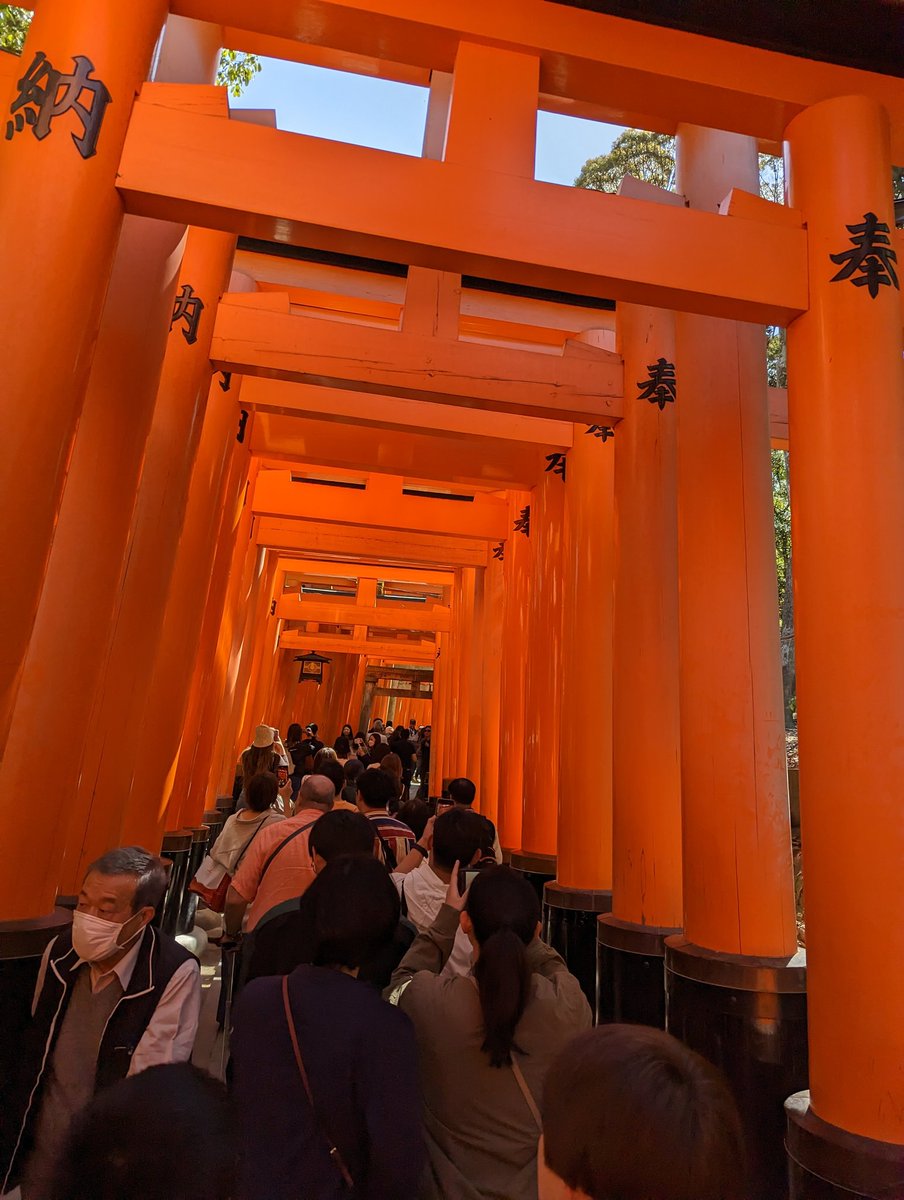 JamieRico21's tweet photo. Japan was pretty cool, imo
10/10 would go back again https://t.co/OvZNSzPylM