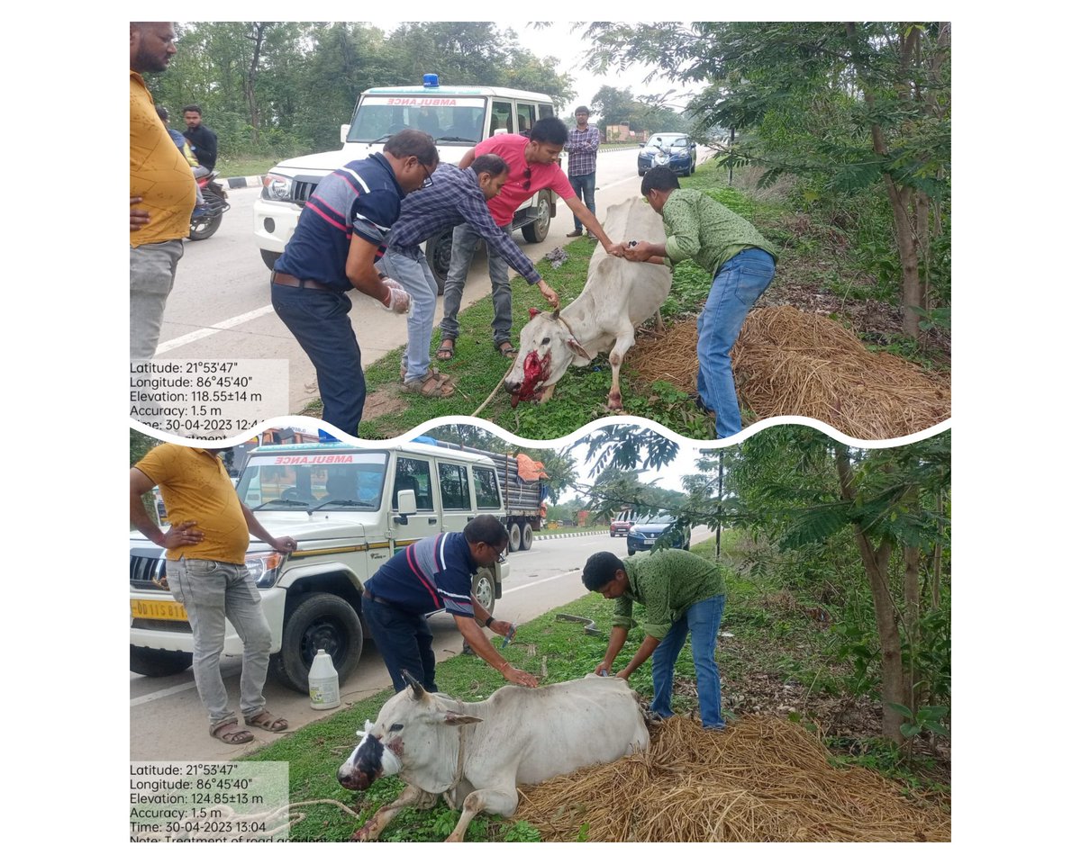 farddepartment's tweet photo. #animalhelpline
Listening to unspoken voices @1962, transmitting to AHL units, tracking, responding, treating and performing surgeries by Vets to save animals on NH / Streets.
Kudos to Team AHL, Baripada for treating case of road accident.
@rajaaswain @DM_Mayurbhanj @baripadam https://t.co/7IIb0swI1b