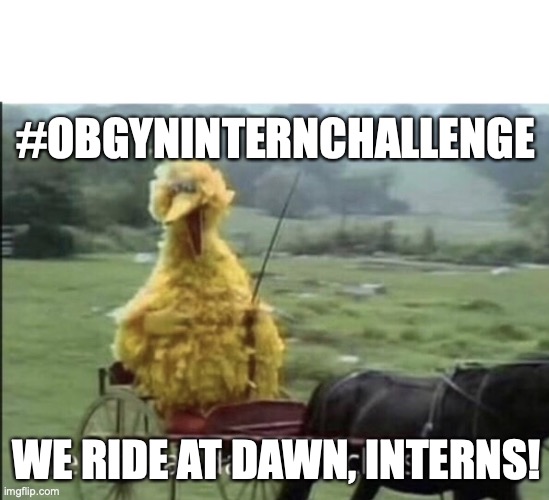 Welcome to the #OBGynInternChallenge! Your first email just went out. If you didn't get it, check out the instructions here. Be sure to do your Rosh Review Warm Up - we ride at dawn! #OBGYN #OBGynTwitter #MedEd #MedTwitter - mailchi.mp/e6a9b3707e8a/w…