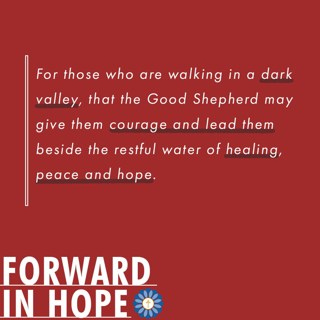 archstl's tweet photo. On this, the Fourth Sunday of Easter, we pray for those who are walking in a dark valley, that the Good Shepherd may give them courage and lead them beside the restful waters of healing, peace and hope.
#ForwardinHope #GoodShepherdSunday #AllThingsNew https://t.co/gVSlwaSmaH