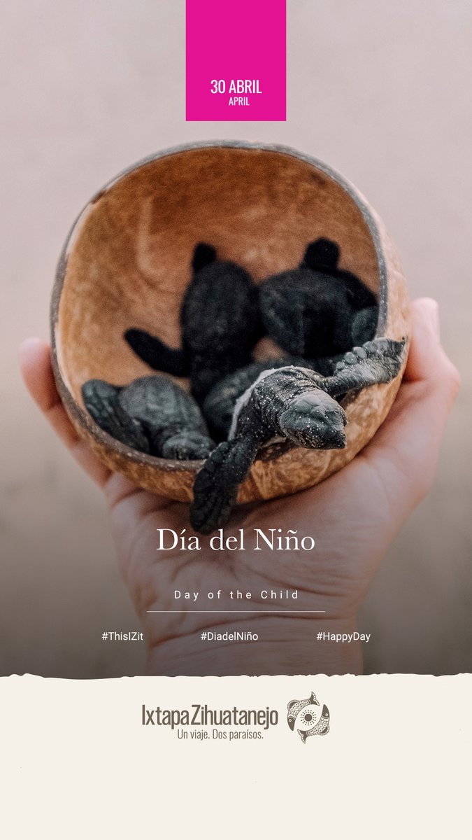 VisitIZ's tweet photo. ¡Feliz día a todos los niños desde #IxtapaZihuatanejo!
Un día para celebrar viajando con la alegría, energía y curiosidad que caracteriza a los más pequeños de la casa.

Vivan aventuras inolvidables que dejen los mejores recuerdos.

#ThisIZit #VisitIZ #DíadelNiño #felicidades https://t.co/jfsyhxccw7
