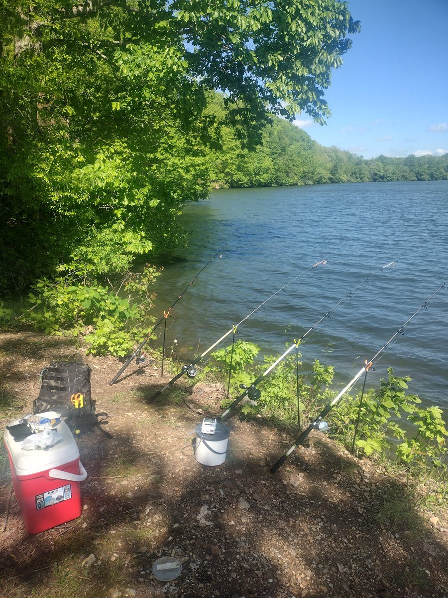 CarolinaBoi578's tweet photo. Back at it all day adventure #gonfishn https://t.co/Nvei8N3iec