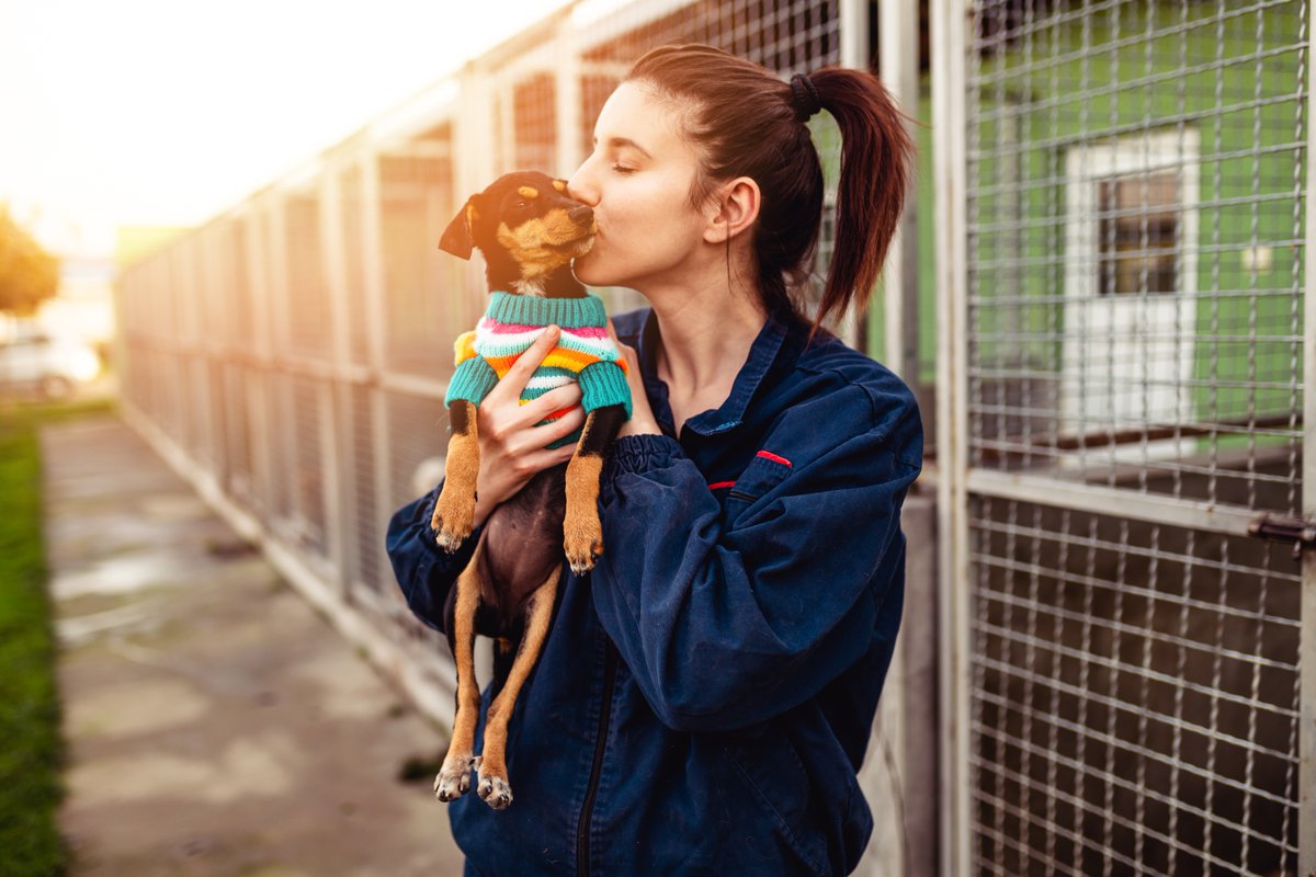 If you’ve adopted a new pet and are looking for a local provider, you can click here to find a vet near you: petcard.ca/find-a-provide…
#AdoptAShelterPetDay 🐕