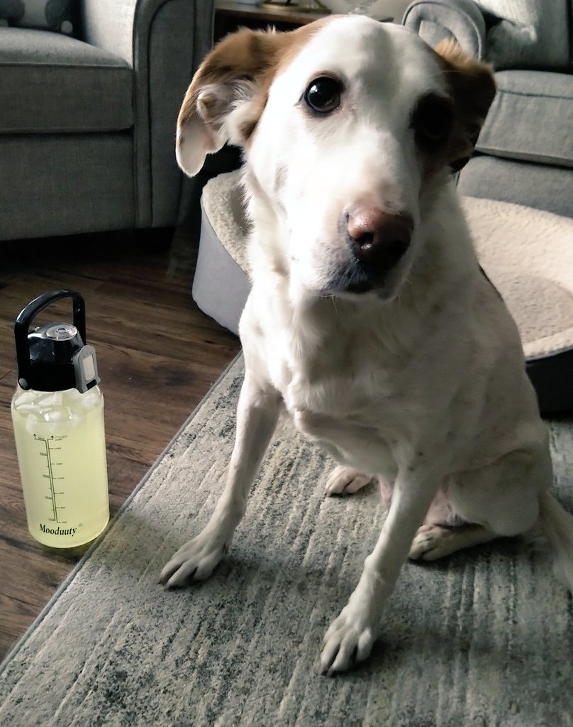 CanadianPenny1's tweet photo. Today is mom's last day of her 3 month training with https://t.co/IWCqMkETqd...it's going so well, she is doing another 3 months! 💪🏃‍♀️🇨🇦

I help - I remind her about her water, add to her daily cardio and wake her up early to do her weights! 😊

Thank you Phil! https://t.co/fNswMSRwWa