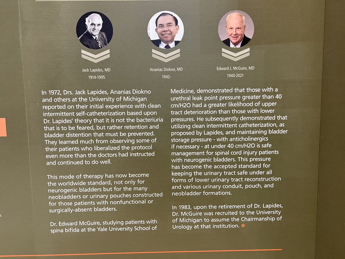 Beaumont Urology (@beaumonturology) on Twitter photo Congratulations to <a href="/gwerneburg/">Glenn Werneburg, MD PhD</a> a physician-scientist superstar who won the 39th annual Diokno-Lapides Essay Contest. This award honors two giants in urology who published the first study on clean intermittent catheterization, a technique that saved countless lives. #AUA2023 Congratulations to <a href="/gwerneburg/">Glenn Werneburg, MD PhD</a> a physician-scientist superstar who won the 39th annual Diokno-Lapides Essay Contest. This award honors two giants in urology who published the first study on clean intermittent catheterization, a technique that saved countless lives. #AUA2023