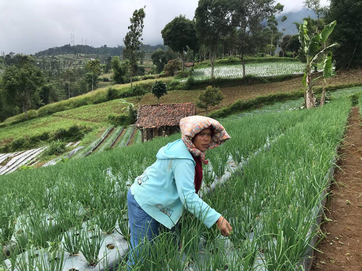 Mayyputr's tweet photo. Women and livelihood https://t.co/IEJHfxB3WW