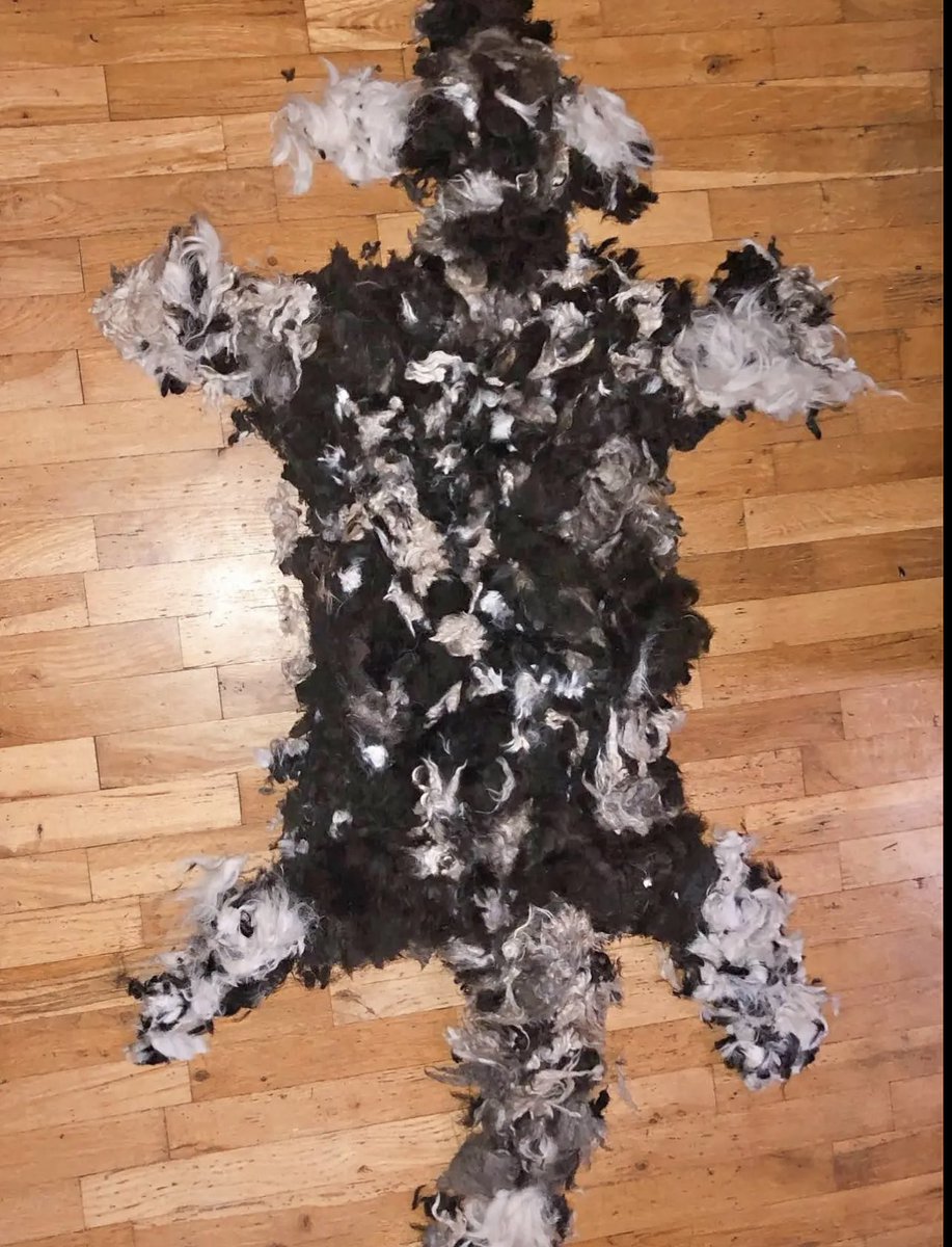 Five Pound Apparel tweet media