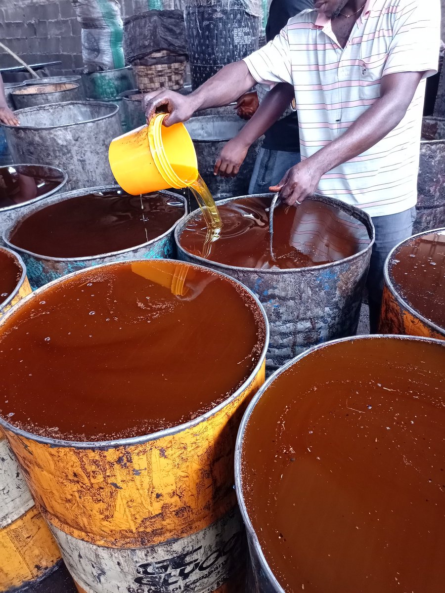 MrFrank042's tweet photo. @AfamDeluxo Again @AfamDeluxo I ve a gud business idea. It's extraction Of karnel/veg oil. I hv all it takes to kick off. Land for permanent or temporal factory site, 20/24hrs power supply(33 priority power line), idea from scratch to finish. I'm in d biz but in a small scale bcoz of capital https://t.co/hCQxg3vCxL