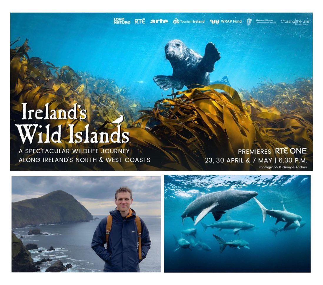 Please retweet &amp; tune in - we'd love to have you! Tonight at 6.30pm on <a href="/RTEOne/">RTÉ One</a>, #irelandswildislands features winter seals on the Inishkeas, a magical woodland on Clare Island, sparkling summer meadows on the Aran Islands &amp; an extraordinary gathering of sharks off Co Clare