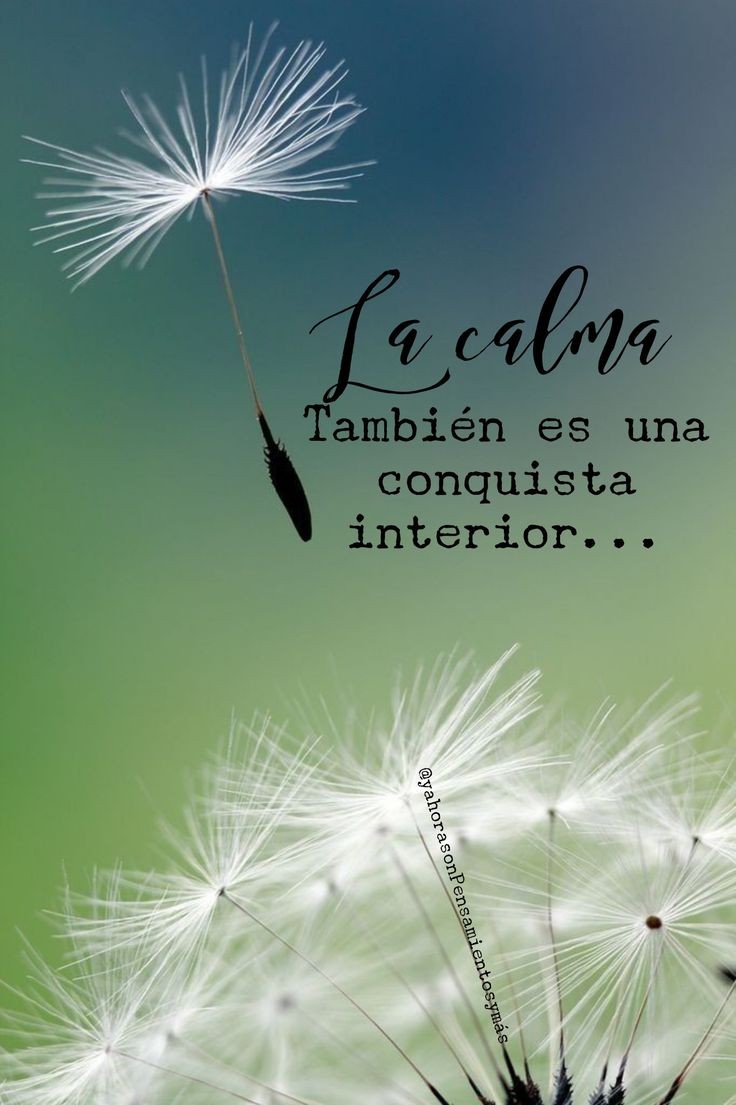 jordaninavarro's tweet photo. 💫La calma también es una conquista interior 💫 https://t.co/sF3O6476hY