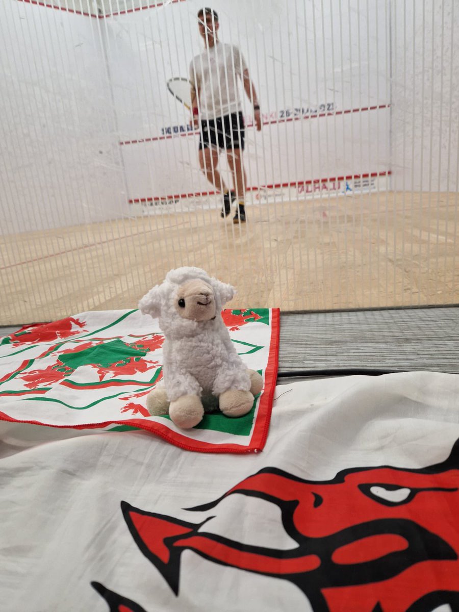 EmyrevoEmyr's tweet image. Unbelievable week @ Europeans with this team 🏴󠁧󠁢󠁷󠁬󠁳󠁿
Making semi finals for the first time since 2010. 4th place in Europe.
Proud and a pleasure as always 🏴󠁧󠁢󠁷󠁬󠁳󠁿🐉🔥❤️
#avit #teamwales #whowantsit