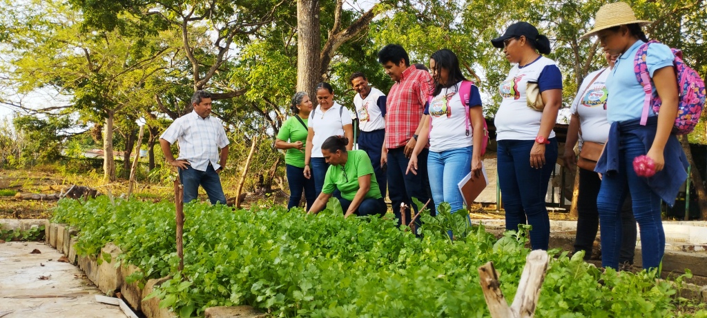 Gobierno de Guárico tweet media