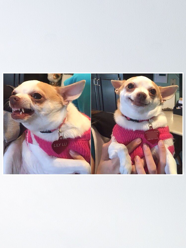 Hay demasiada gente en la cola para votar 😩 / Hay demasiada gente en la cola para votar 😁