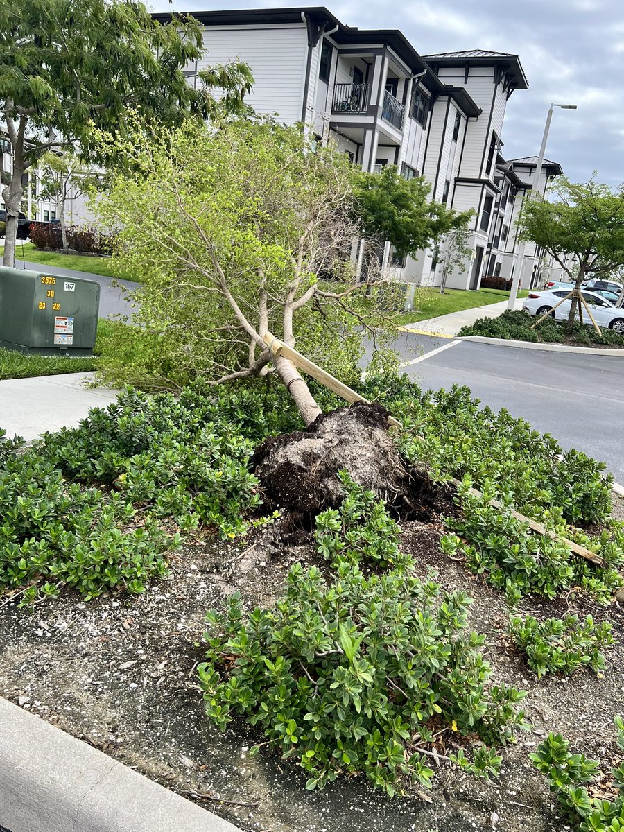 Red_Sox_Fan93's tweet photo. Storm damage in the Forum (Fort Myers) from this mornings storm 

@MattDevittWINK @NWSTampaBay @NWSMiami https://t.co/bNPBVZDuLF