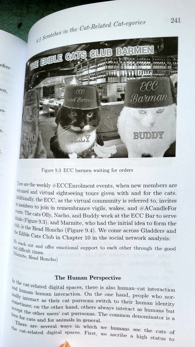 Olly the Cat, Monarch of The Moglets. RIP Maximus. tweet media