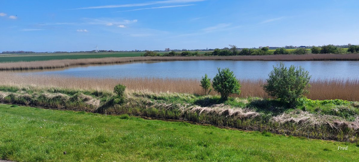 Fred (@fred4cv) on Twitter photo 