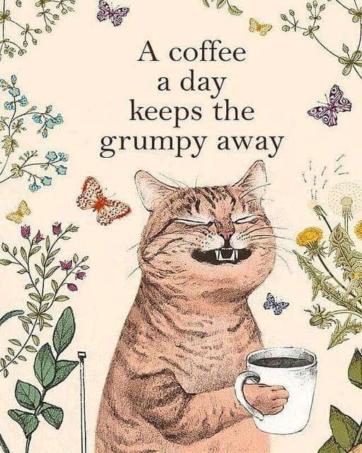 coffeememelover's tweet photo. #Coffee #CoffeeLover #CoffeeAddict #sundayvibes #SundayMorning #SundayFunday https://t.co/fEunEJAJgp