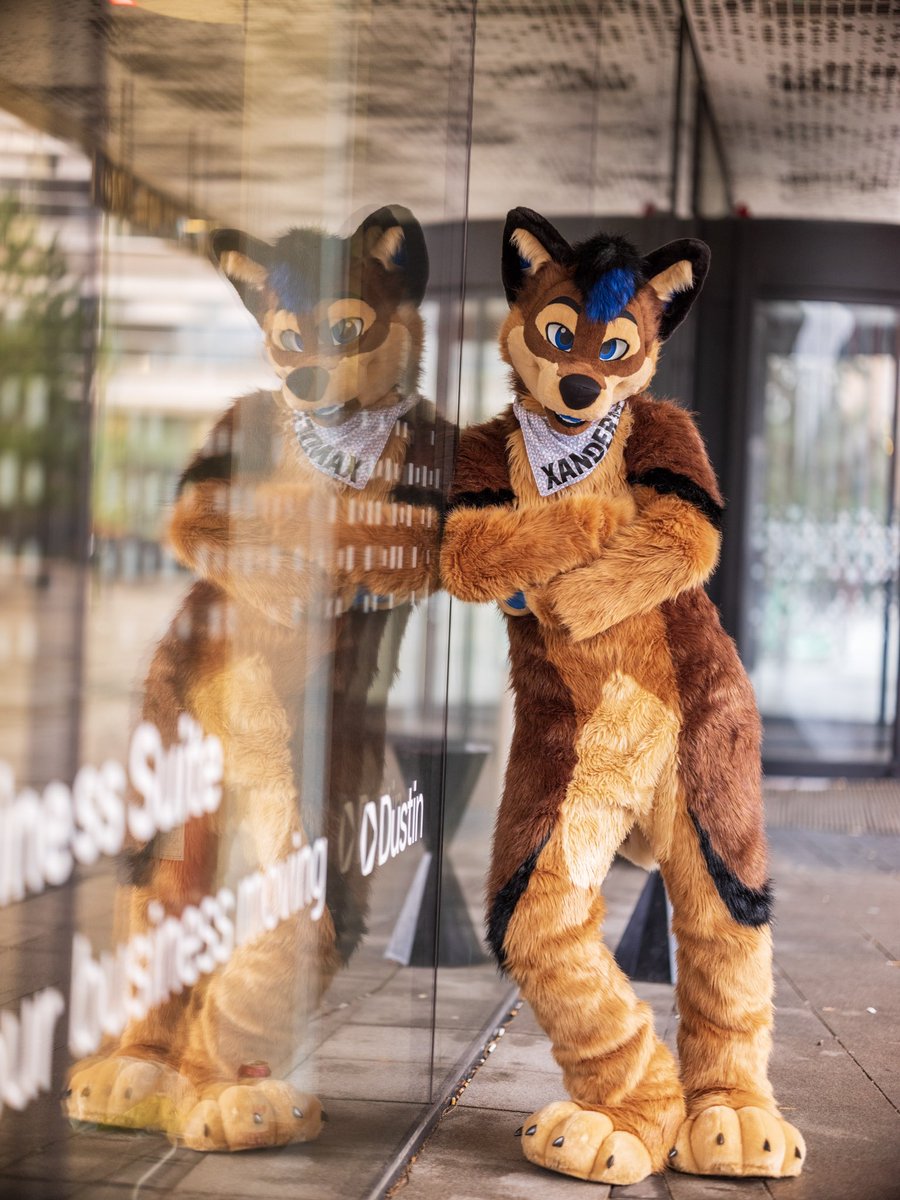 Xander Wusky🇳🇱 bark! tweet media