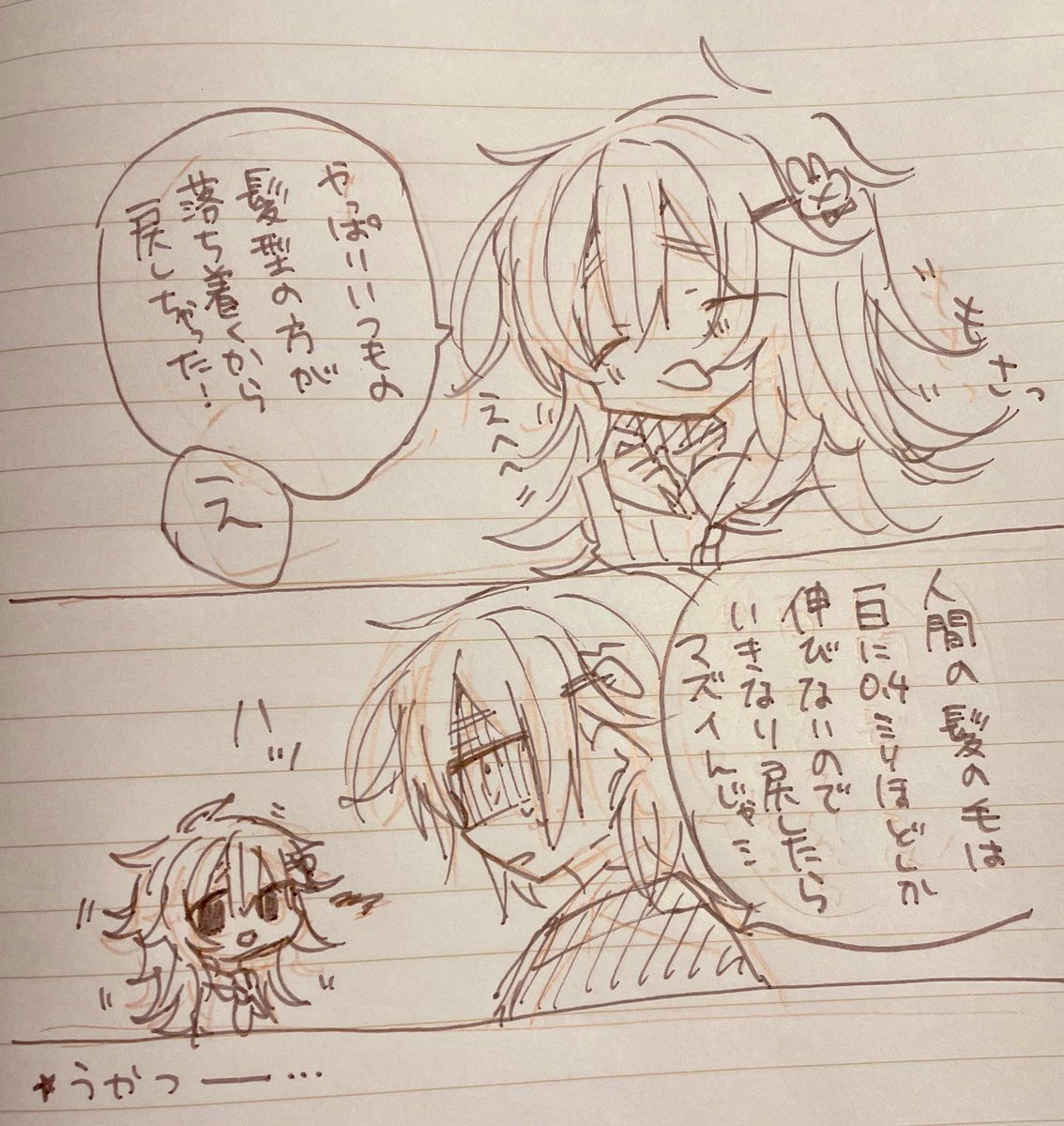 しばらくショートヘアですごした 