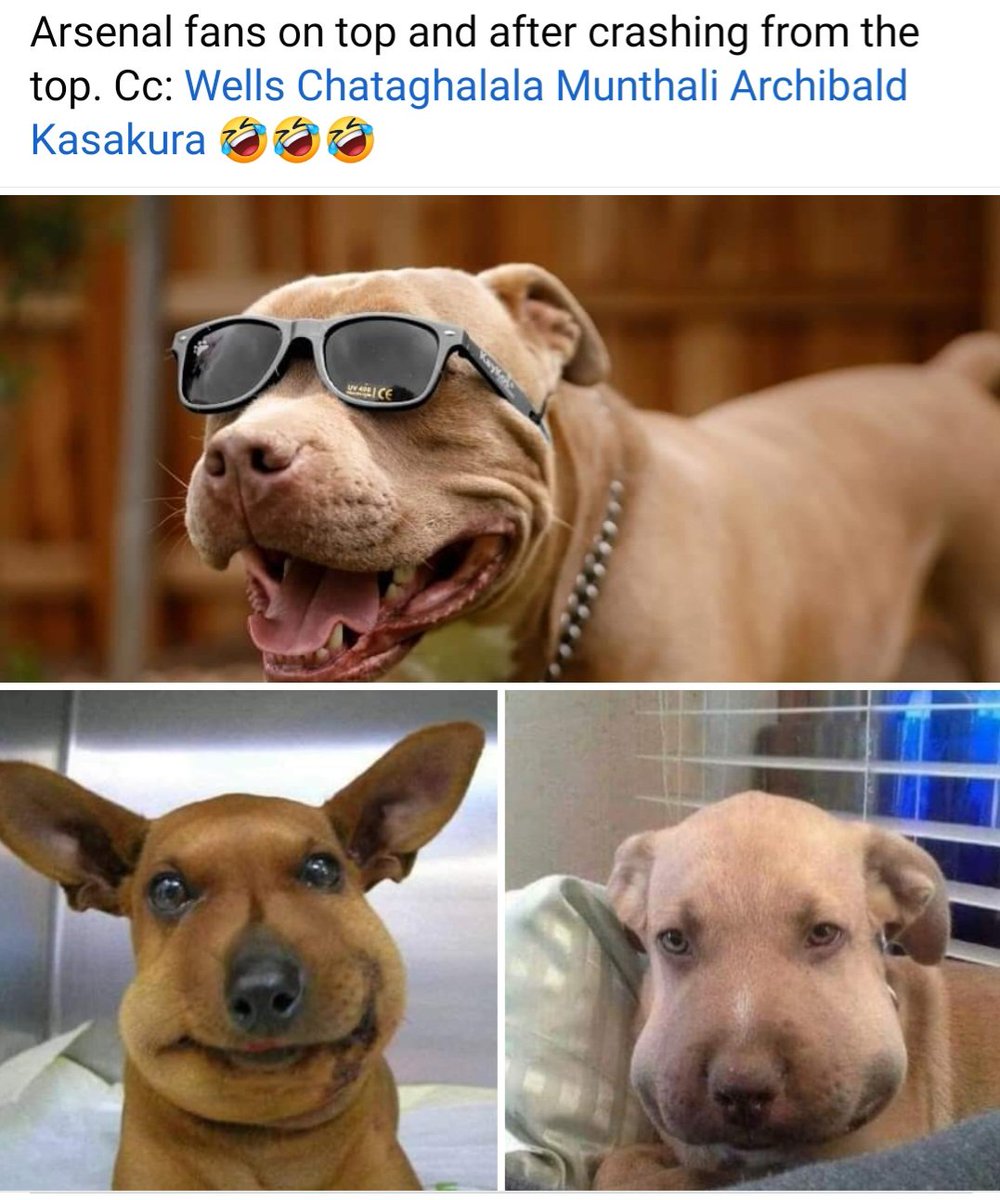 Winning title is not small boys' business. Try again in 19 years 🤣🤣🤣