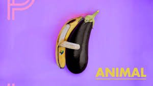 Sam Burnard tweet media