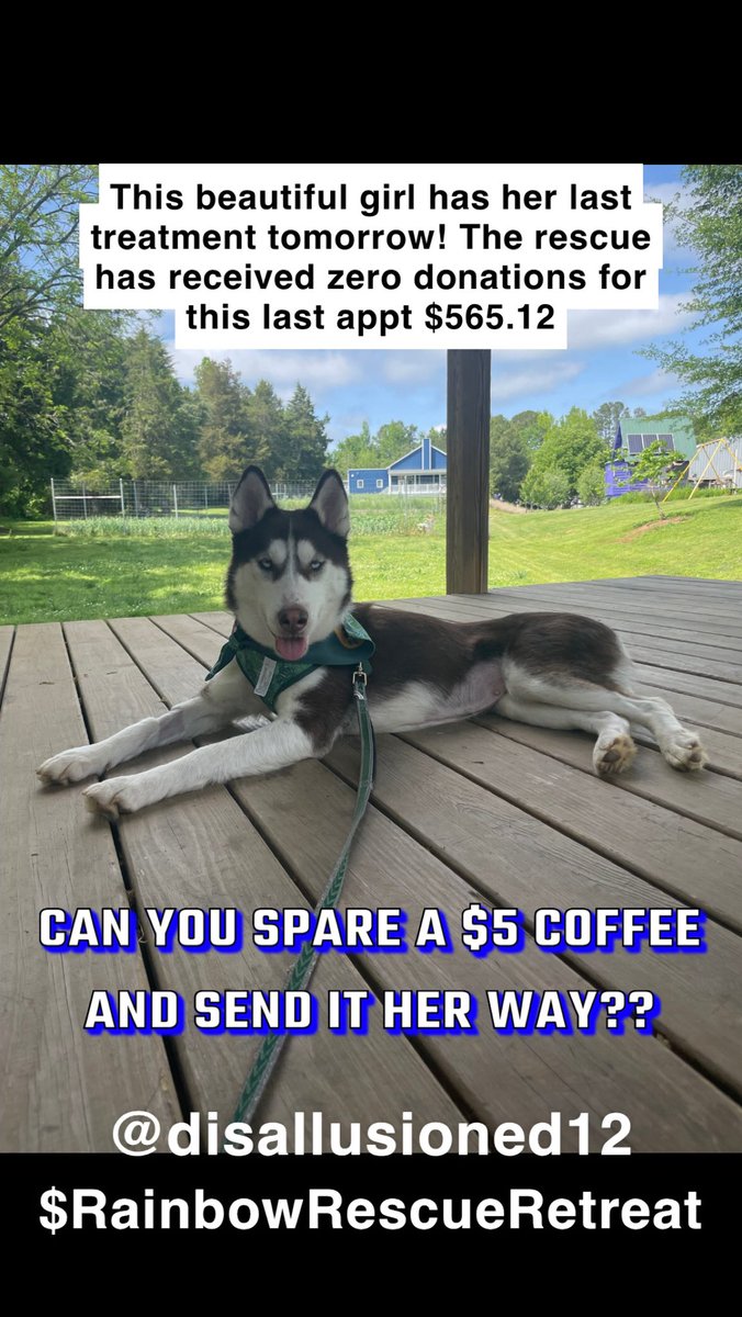 mladypersephone's tweet photo. Receive a nude and a lewd when you donate $5 or more to Koopa Troopas Care!! Let’s get this girl the care she needs!! 
$RainbowRescueRetreat
@disallusioned12 
https://t.co/a6qKon5izI

#nsfwtwt #nsfwtwtًًًٌٌٍِّْ  #bigbooba #btggf #redhead #bustynatural #piercednipples #tattedgirls https://t.co/2V6pJx6JBy