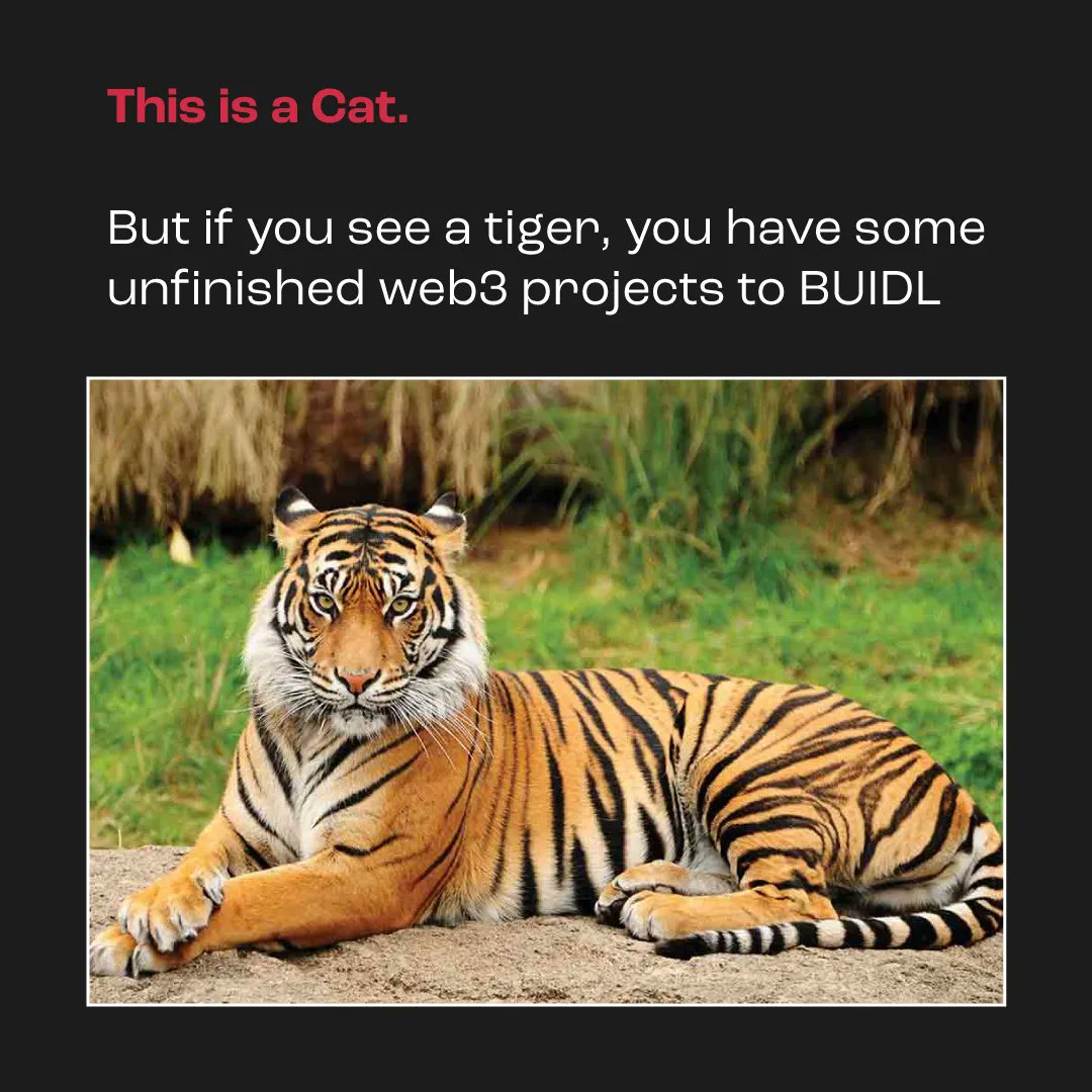 NalikesStudio's tweet image. Contact us 😉 if you need help

#Build #BuidlInWeb3 #Web3DevelopmentStudio