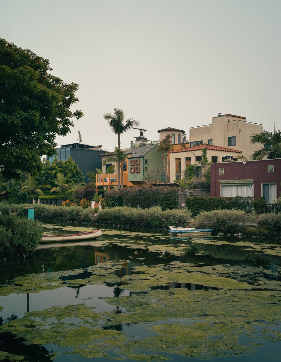 domiesann's tweet photo. Venice Canal.

#LosAngeles #California #leica #leicam8 #architecture #landscape #photography #picoftheday #28mm #venice #canal #venicecanal #m8 https://t.co/rFeEatkADQ